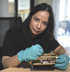 Anasua Chatterjee working in her lab