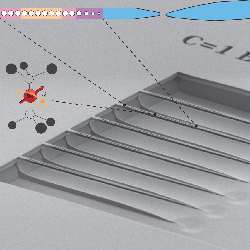 Electron microscope image of the diamond nanophotonic device. The colors in the schematic show the cavity: light purple are mirrors, yellow is where the light is confined and dark purple is the crossover region into the broadband optical waveguide (blue).